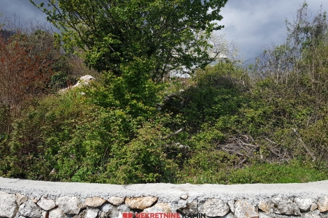 участок виноград виноградники вирпазар петровац бар скадарское озеро недвижимость зарубежом агенство камин будва черногория 