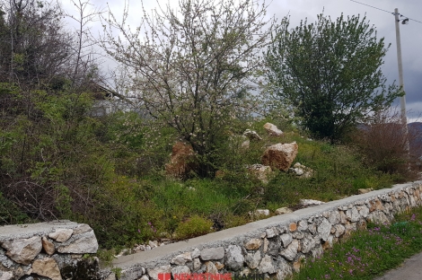 участок виноград виноградники вирпазар петровац бар скадарское озеро недвижимость зарубежом агенство камин будва черногория 
