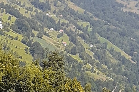 земельный участок имение биело поле север жабляк продажа недвижимость зарубежом агенство камин будва черногория