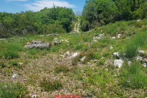 урбанизированный участок режевичи совместное строительствопродажа недвижимость зарубежом агенство камин будва черногория 