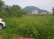 урбанизованный земельный участок под строительство продажа недвижимость агентство недвижимости камин будва Черногория